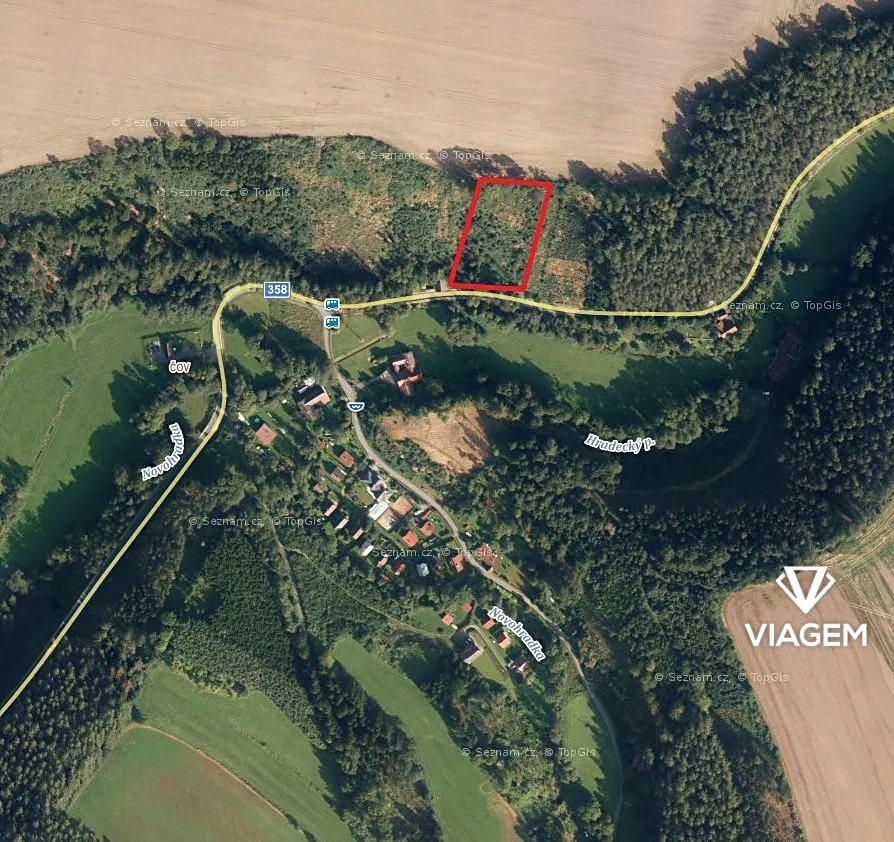 Prodej lesa 3866 m²
